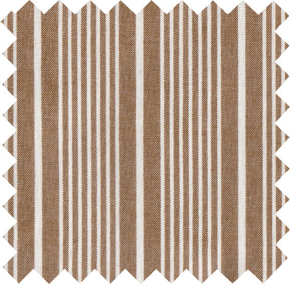 D113 - Brown / White Draftsman's Poplin